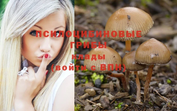 ECSTASY Армянск