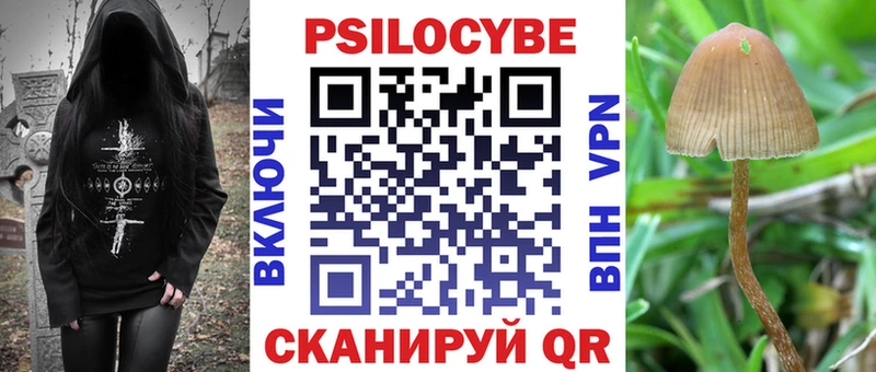 Псилоцибиновые грибы Cubensis  купить наркоту  OMG ссылки  Шумиха 