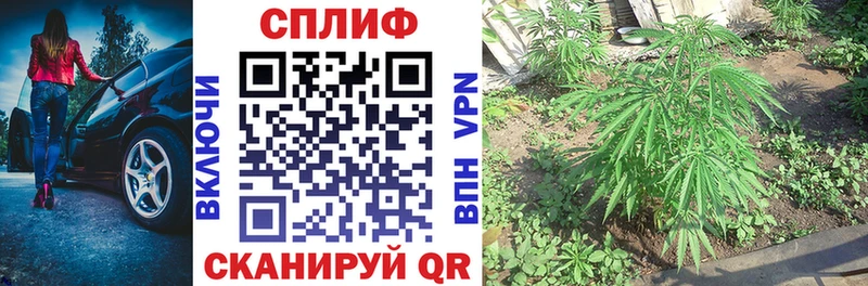 МАРИХУАНА индика  Шумиха 